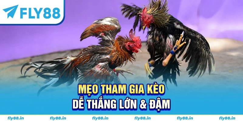 Mẹo tham gia kèo dễ thắng lớn & đậm